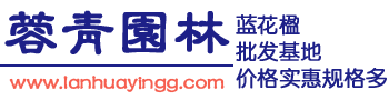 揚(yáng)子洗地機(jī)